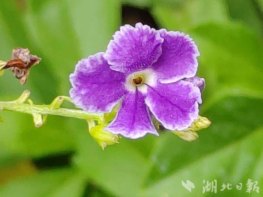 娱乐平台一登录